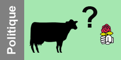 PS et animaux ?