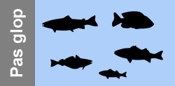 Poissons