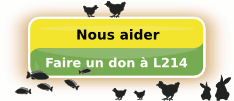 Nous aider&nbsp;: Faites un don &agrave; L214