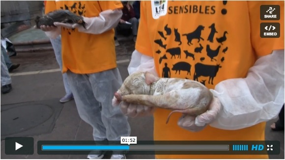 Montrer la r&eacute;alit&eacute;