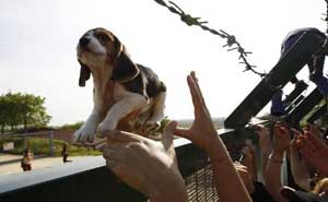 Action contre la vivisection