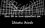 Manifestation mensuelle pour la libération animale