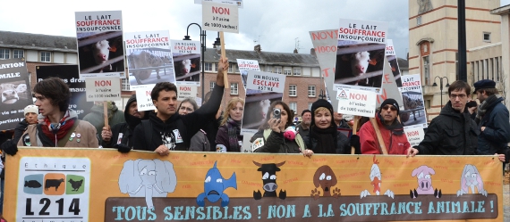 Manifestation contre l'&eacute;levage de 1000 vaches