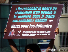 Action Politique & Animaux