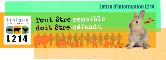 Lettre d'information L214