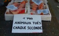 barquette humaine à Lyon