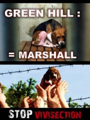 Green Hill = Marshall