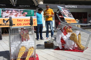 Action de sensibiliation de L214 devant Monoprix