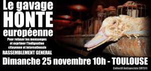 Action contre le gavage
