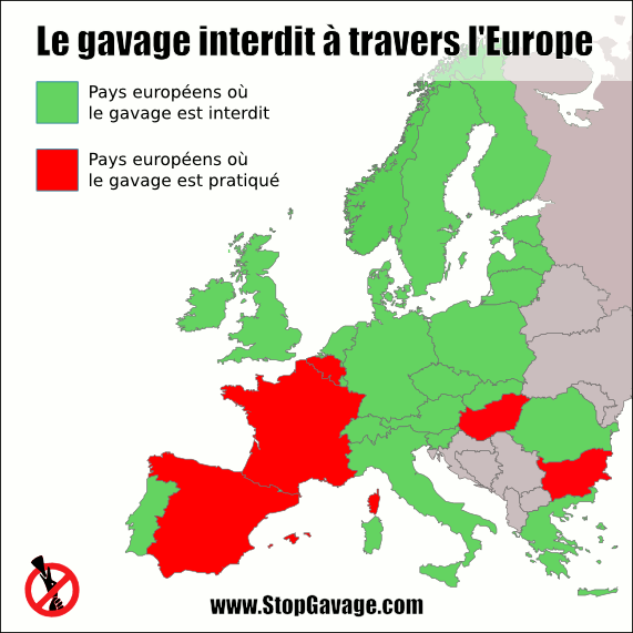 pays interdisant le gavage
