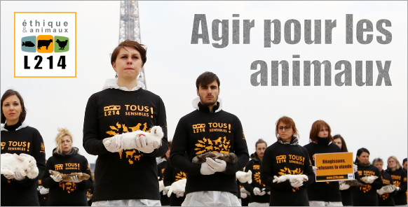 Banniere L214 : Agir pour les animaux