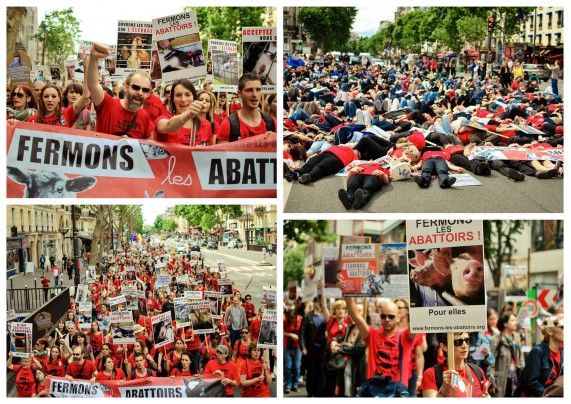 Manifestation pour la fermeture des abattoirs