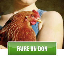 Adh&eacute;rer / Faire un don