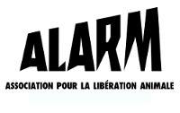 ALARM