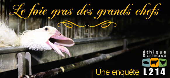 banni&egrave;re foie gras des grands chefs
