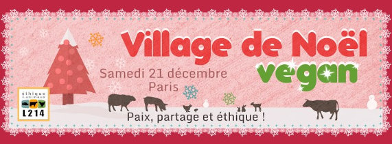 Village de Noël L214