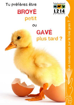 Action Stop Gavage