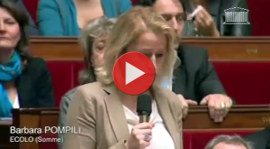 EELV &agrave; l'Assembl&eacute;e contre l'&eacute;levage des 1000 vaches