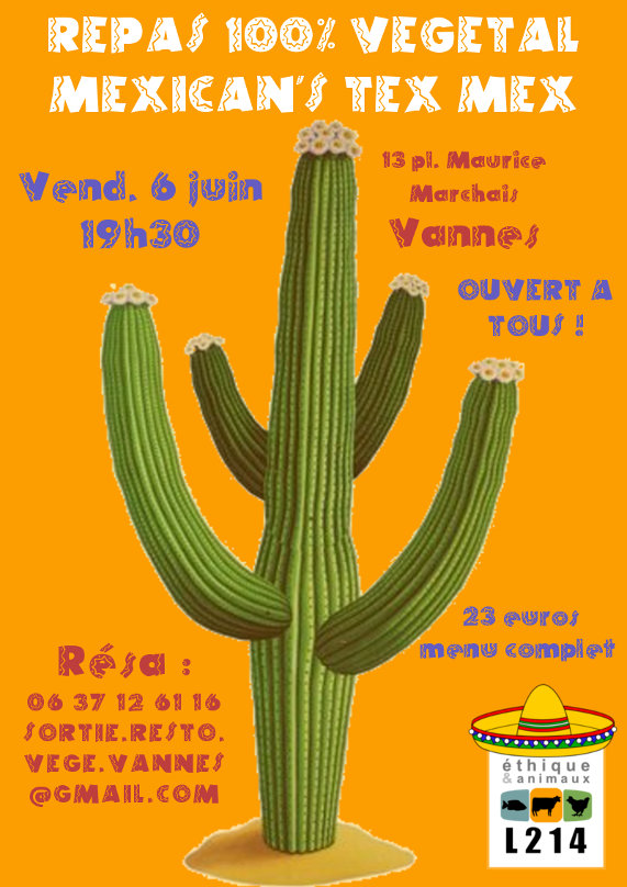 Repas végétalien à Vannes