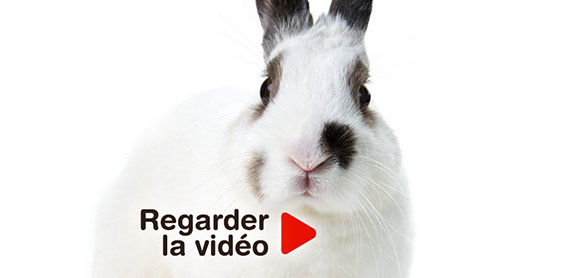 Victimes de la mode