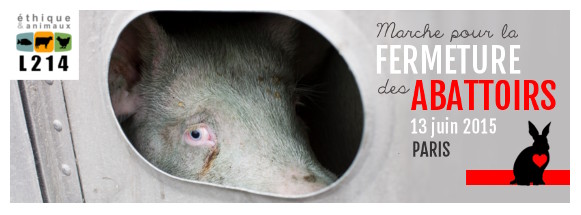 Fermons les abattoirs