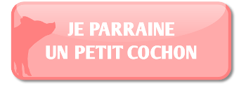 Je parraine un cochon
