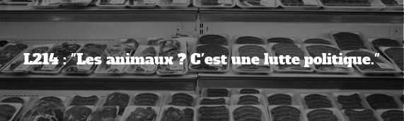 Article dans Ballast le site