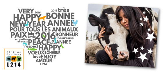 Meilleurs voeux