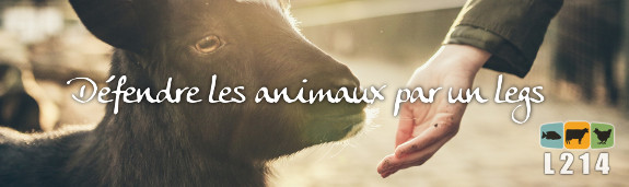 Aider les animaux