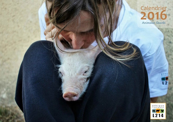 Calendrier 2016 L214 animaux