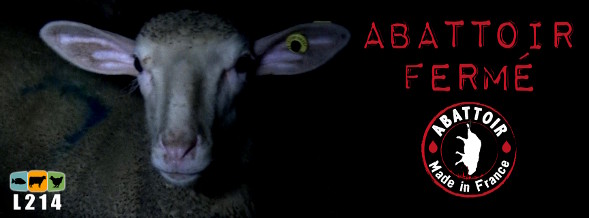 L'abattoir du vigan a fermé !