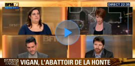 BFM - Enquête à l’abattoir certifié bio du Vigan
