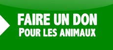 Faire un don à L214