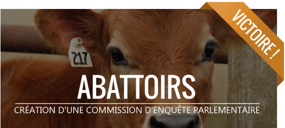 commission d'enquête