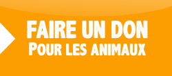 Faire un don