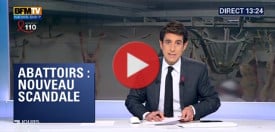 BFM Abattoir de Mauléon