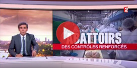France 2 Abattoir de Mauléon