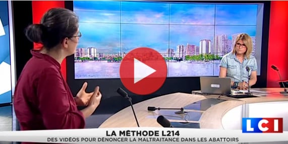 LCI Abattoir de Mauléon