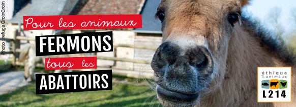 Fermons les abattoirs
