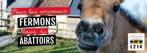 Fermons les abattoirs