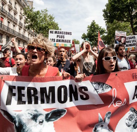 Fermons les abattoirs