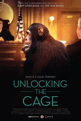 Unlockig the cage
