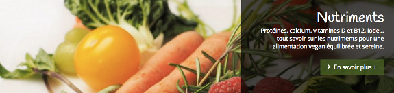vegan pratique