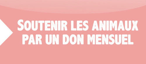 Faire un don