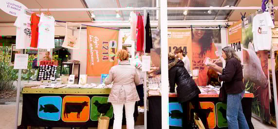salon marjolaine