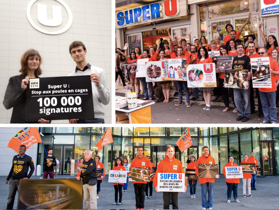 lidl s'engage contre les oeufs de batterie