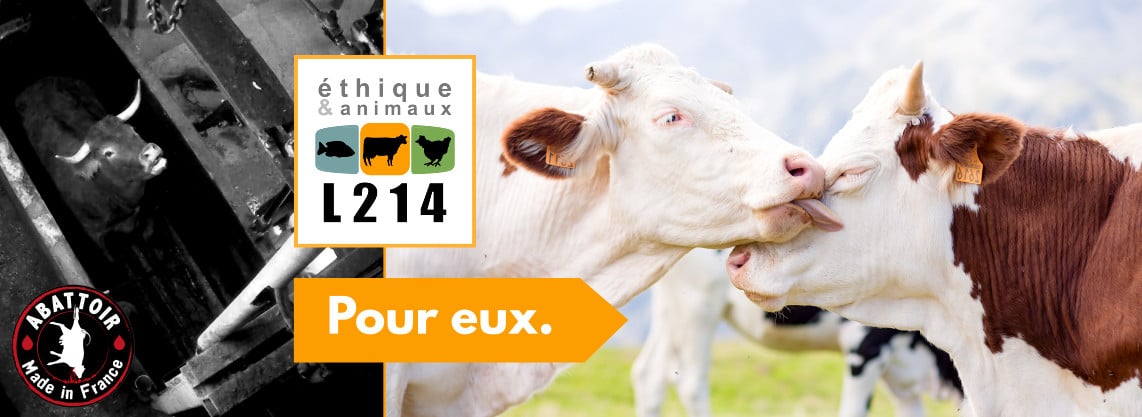 L214 agit en continu grâce à vous
