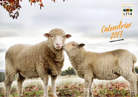 Calendrier 2017 L214 animaux