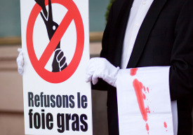 Actions stop foie gras Bretagne