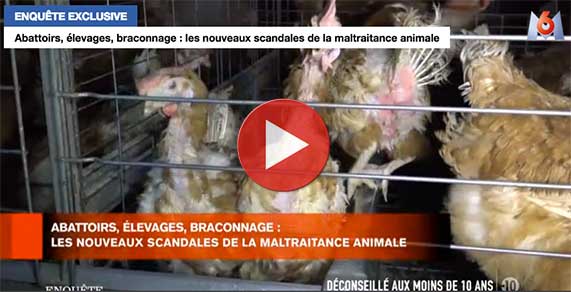 Enquête exclusive - M6